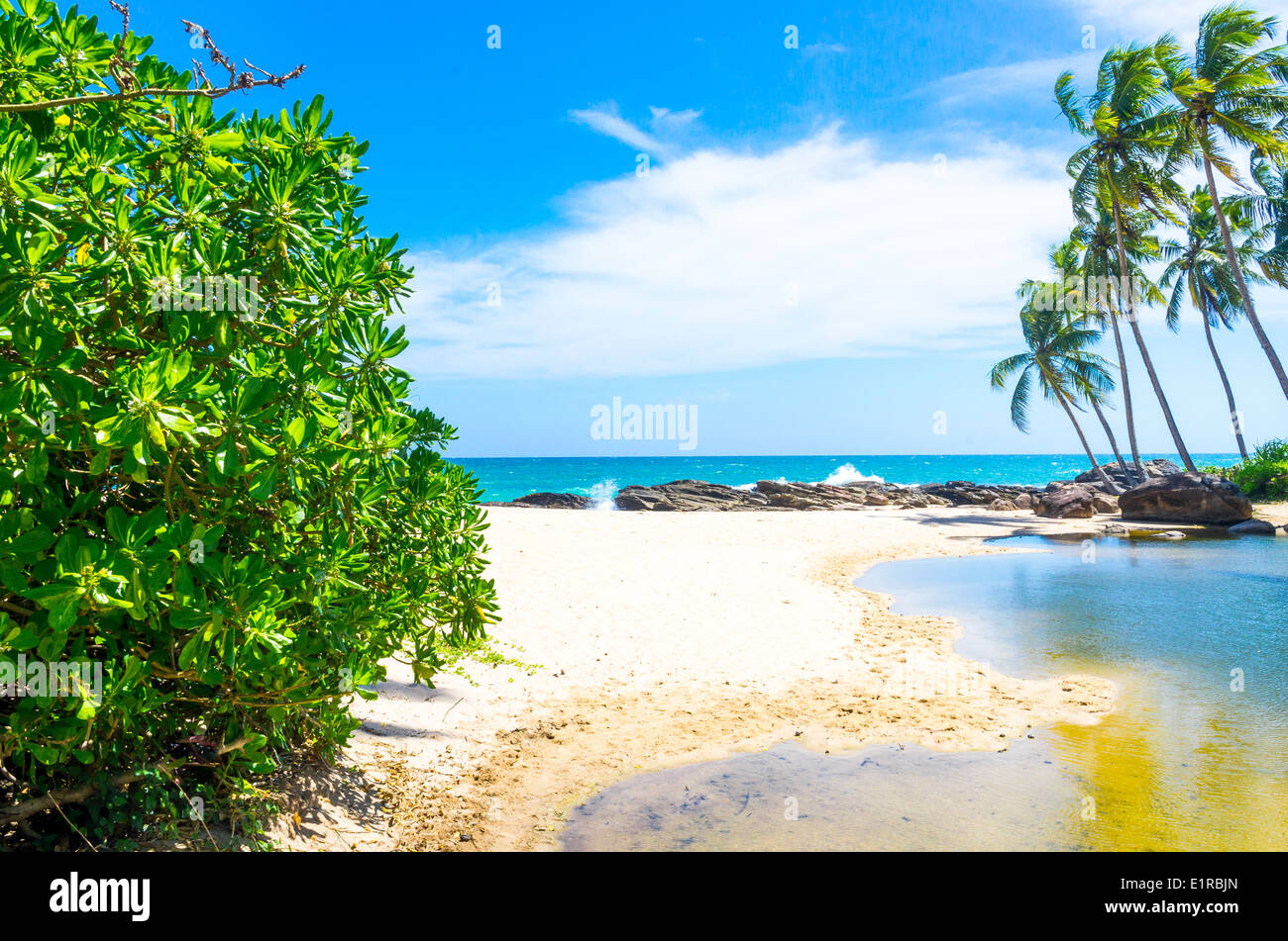 Tropical beach in Sri Lanka Stock Photo