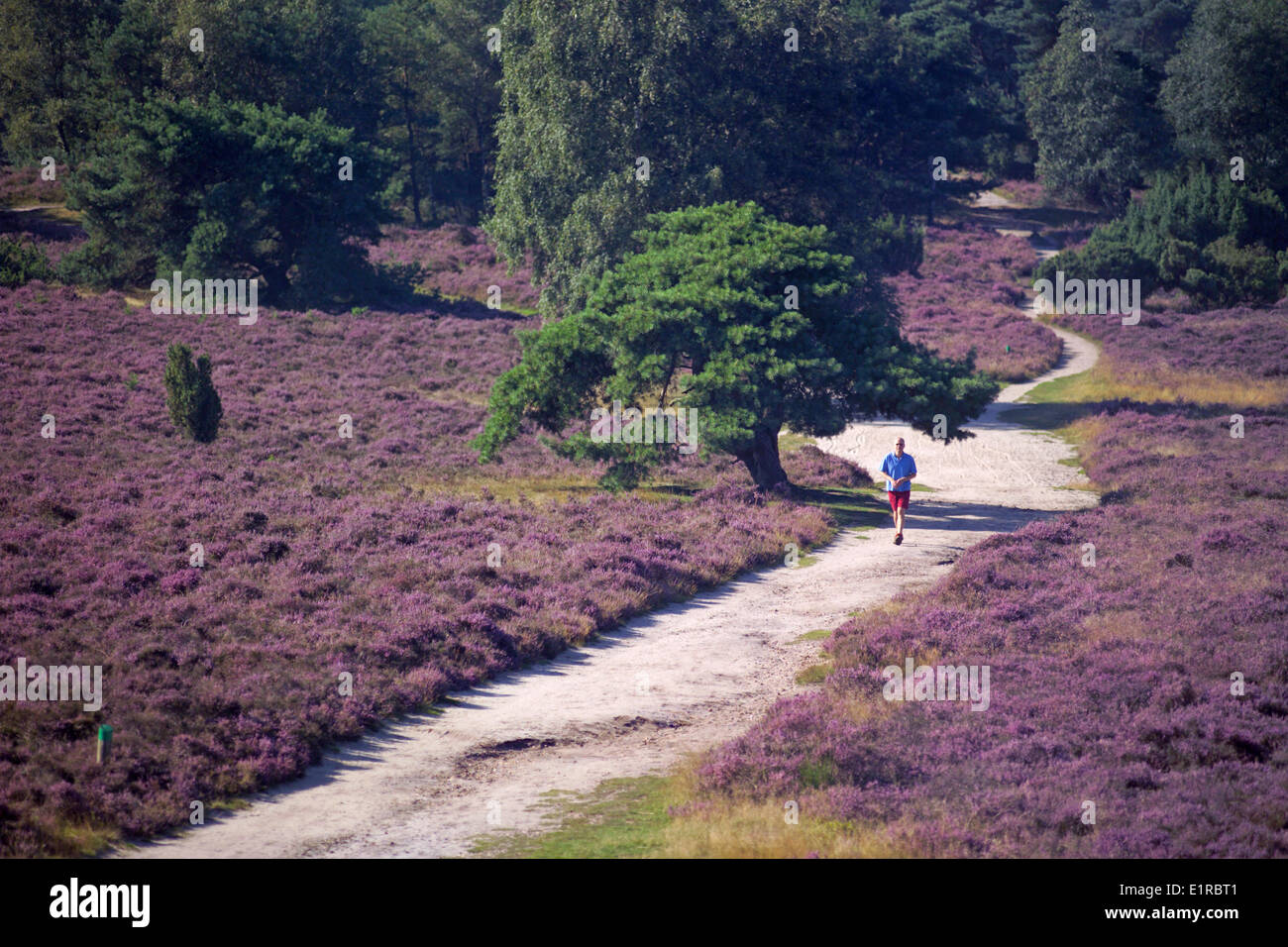 Walks on path hi-res stock photography and images - Alamy