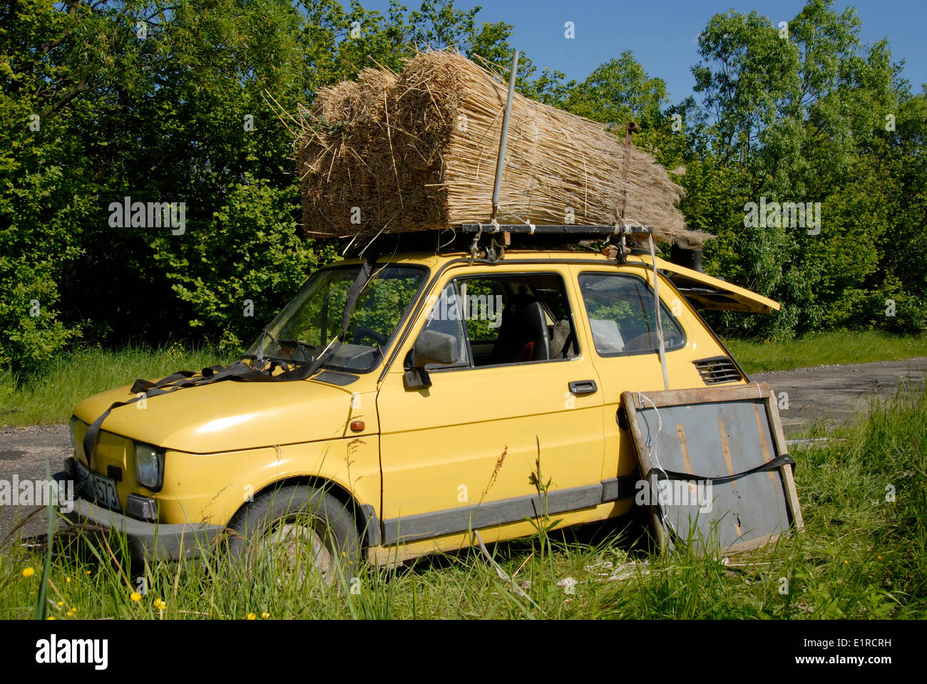 Polski Fiat carrying bundles of reed Stock Photo