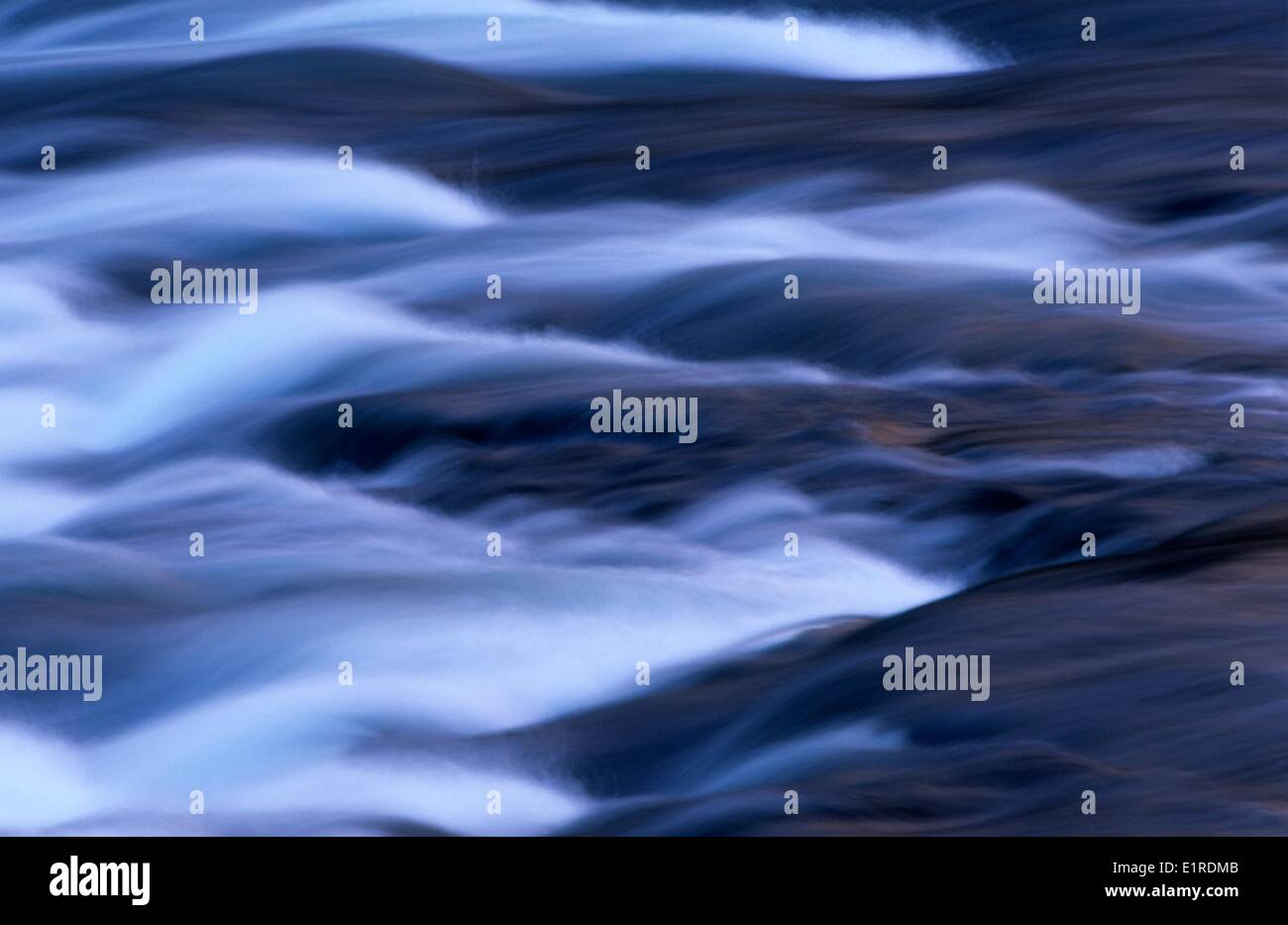 Detail of a rapid stream in Yellowstone N.P. Stock Photo