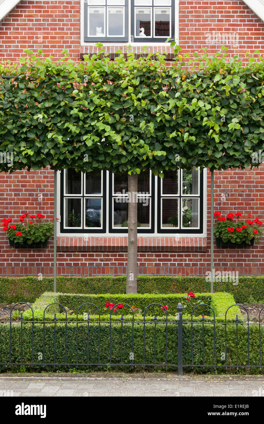 A front yard of a Dutch house in Nijverdal Stock Photo