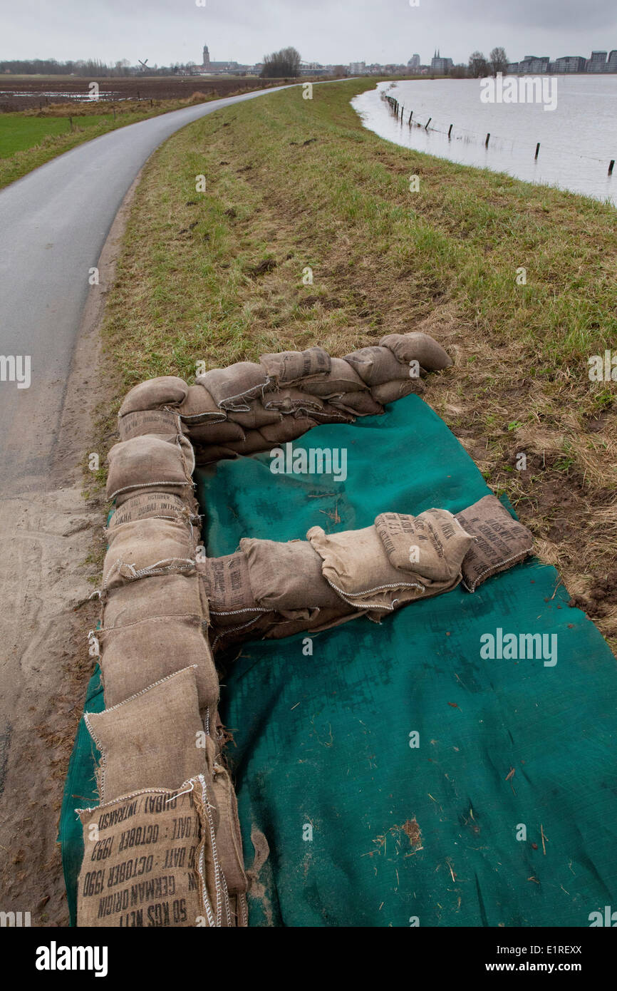 The protection of the IJssel dike with sand bags. Stock Photo