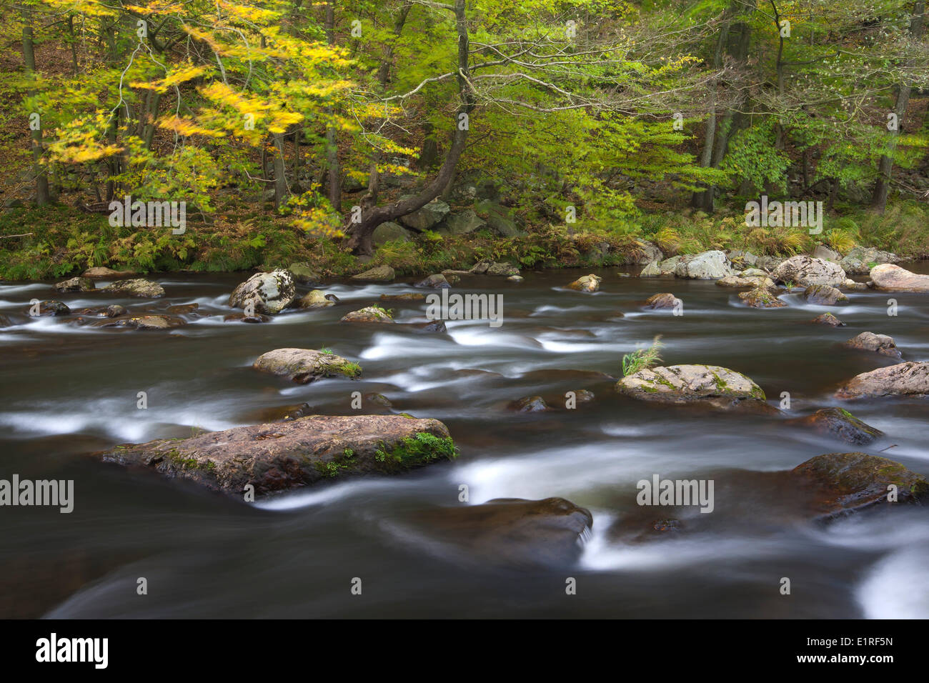The river Ambleve, the Ardennes, Belgium Stock Photo