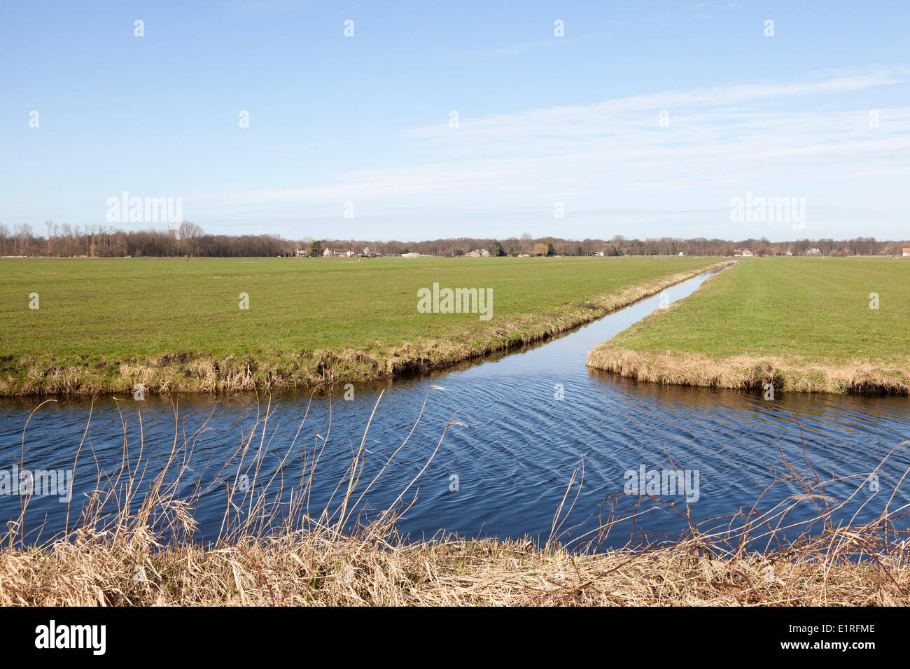 farmland and ditches  in the Veenzijdse Polder Stock Photo