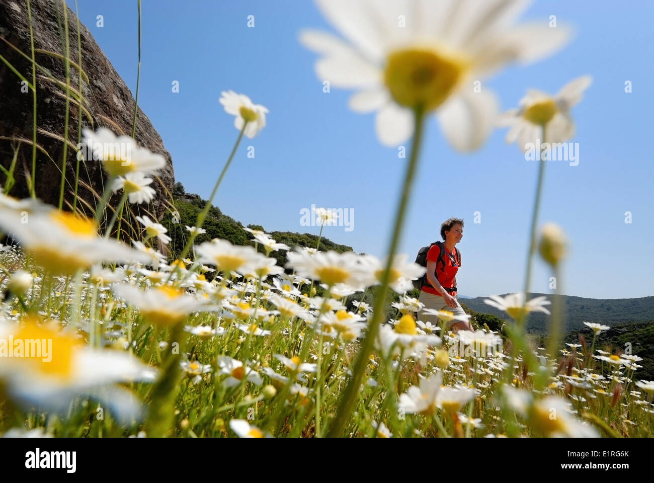 Field walks hi-res stock photography and images - Alamy