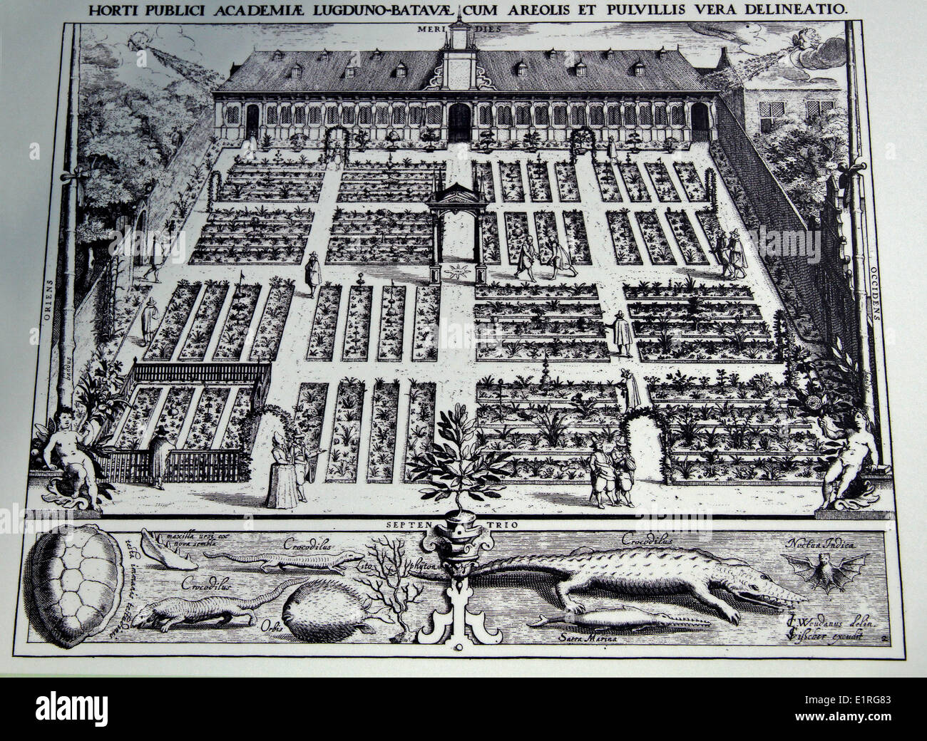 hypothetical view from the air of the historical Clusius garden Stock Photo
