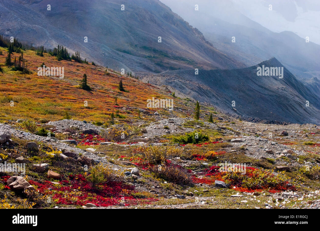 Canadian Rocky mountains in the autumn Stock Photo - Alamy