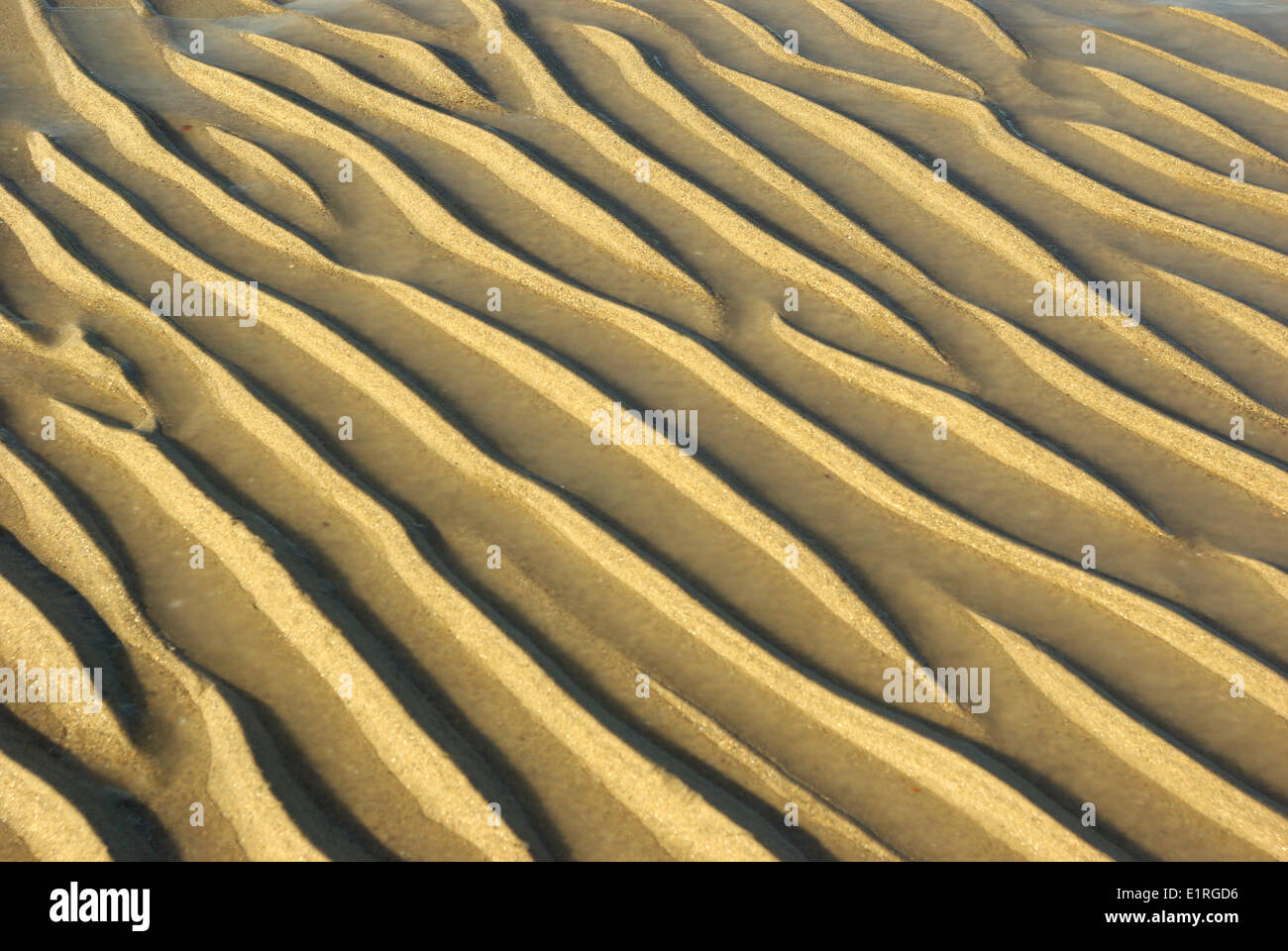 Gold coloured sand pattern Stock Photo