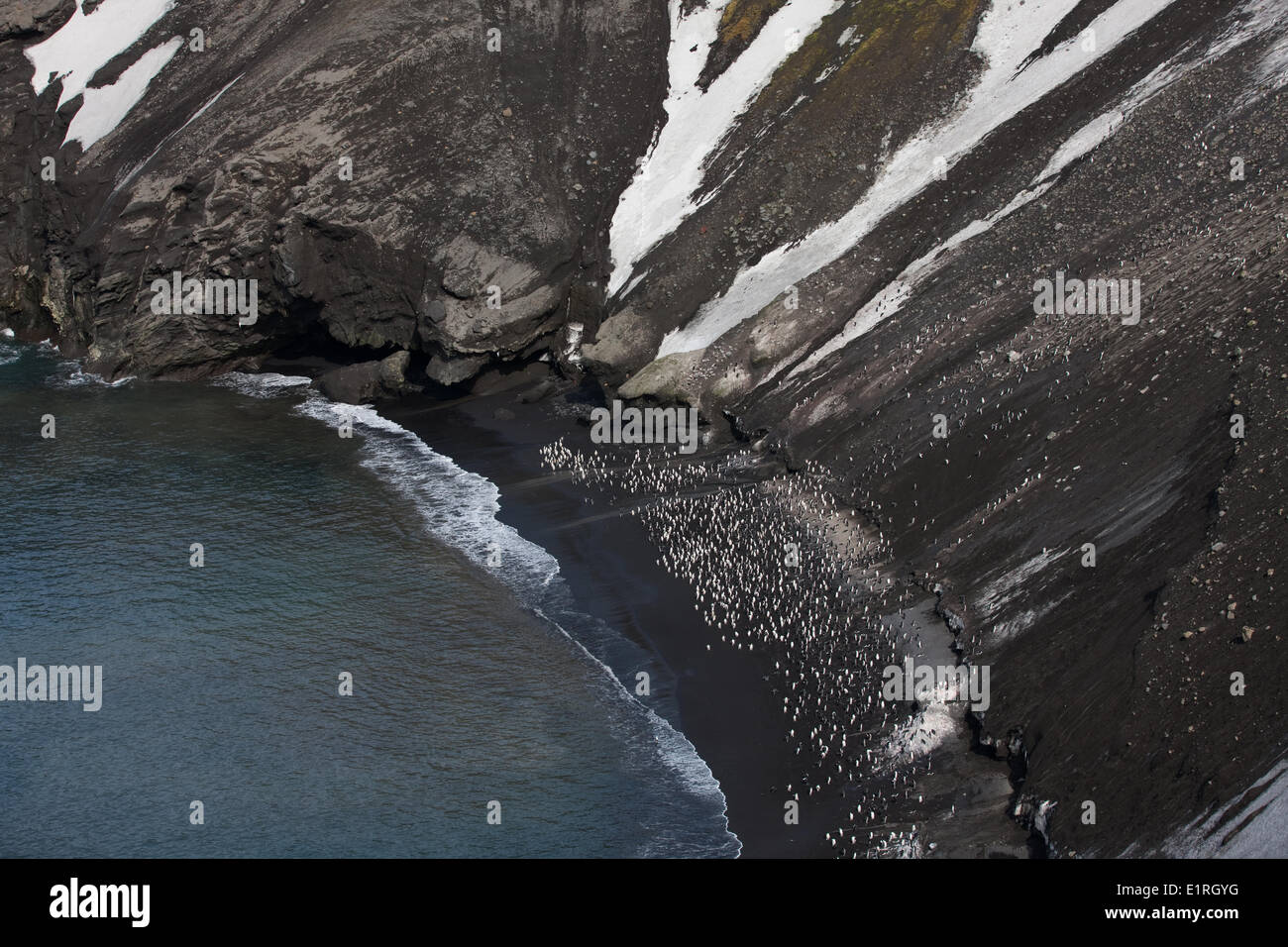 Looking down onto the dark ashy beach at Baily Head, Deception Island, where large numbers of Chinstrap Penguins (Pygoscelis Stock Photo