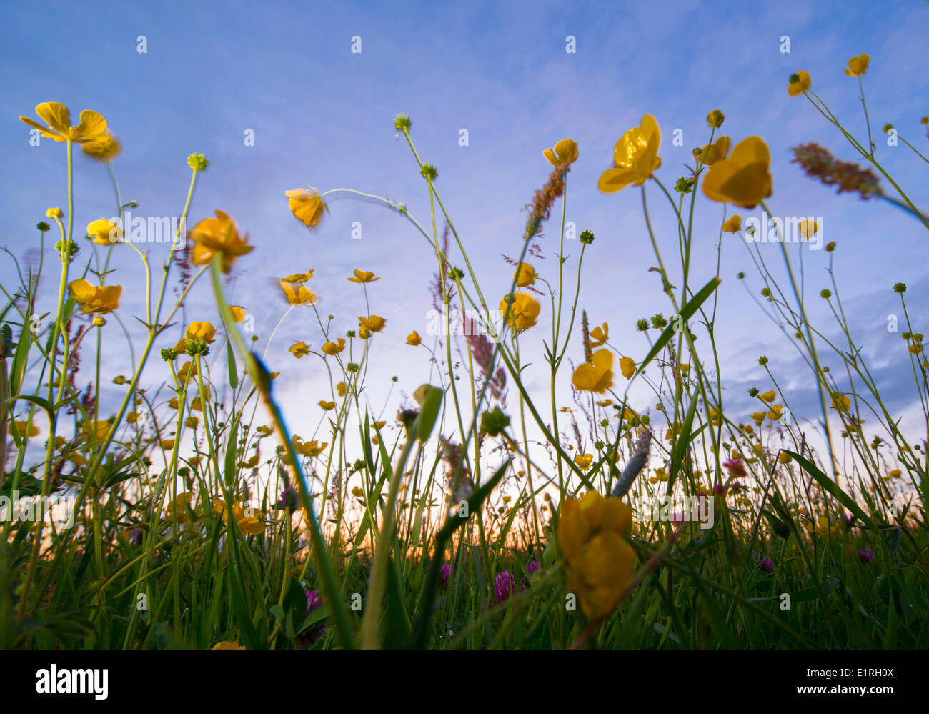 Naturereserve hi-res stock photography and images - Alamy