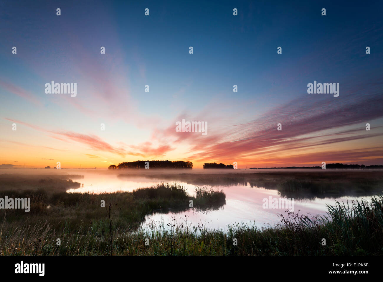 Nature reserve The Onlanden in the early morning sun. Stock Photo