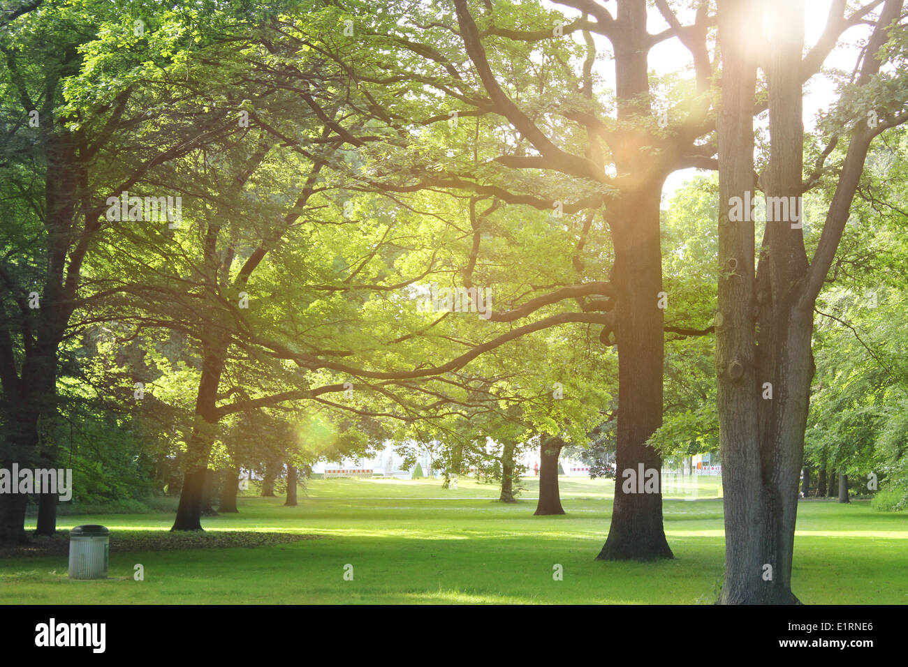 Spring summer sun hi-res stock photography and images - Alamy