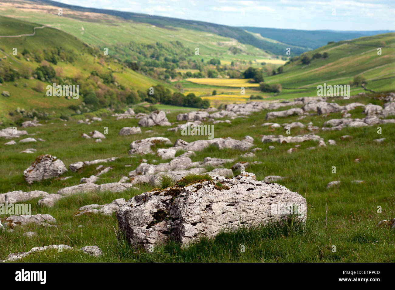 Yorkshire Dales National Park, Yorkshire, England, UK. June 2014 Limestone Pavement above Halton Gill in the Yorkshire Dales. Stock Photo