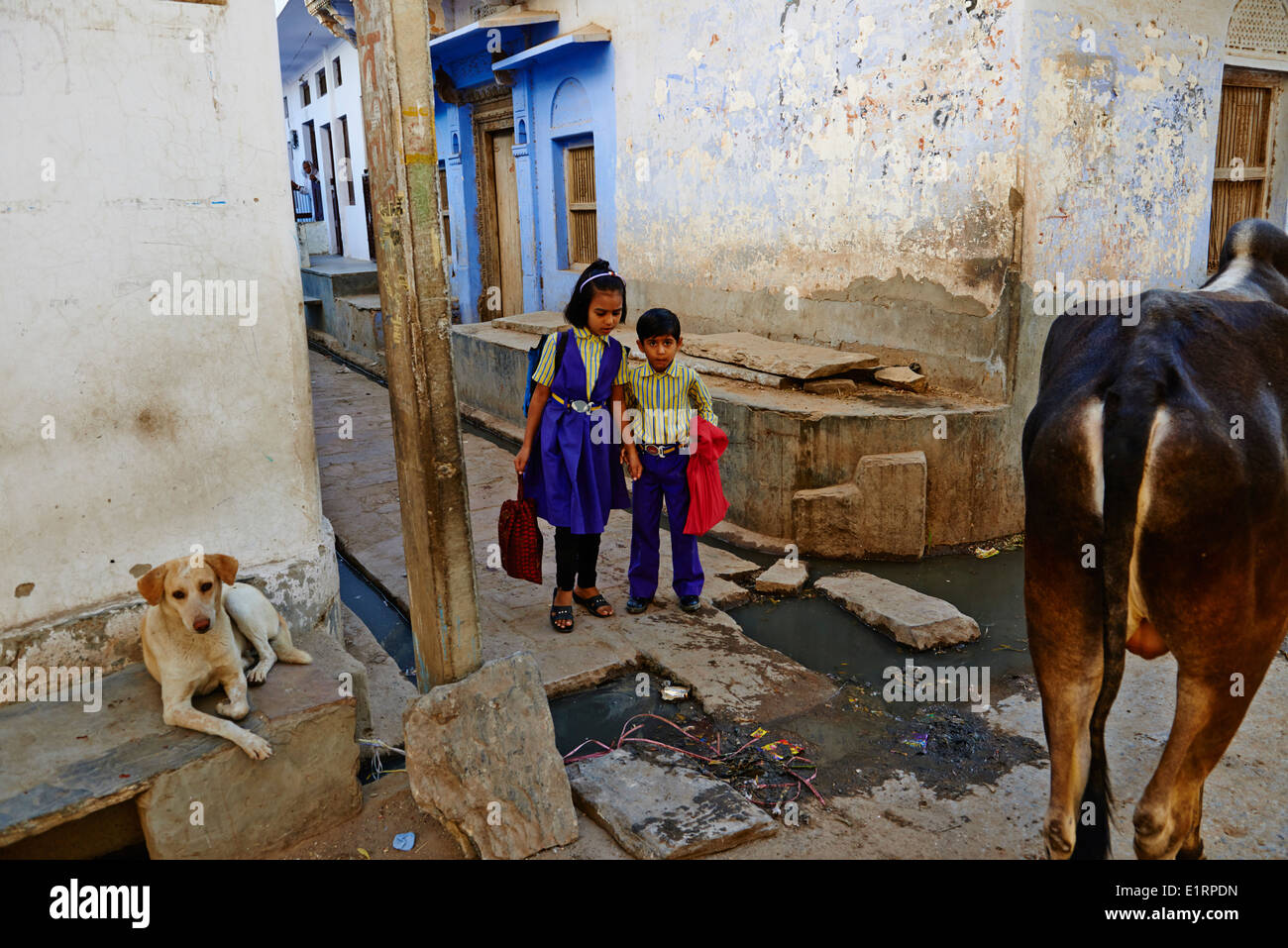 India, Rajasthan, Nimaj village around Jodhpur, schoolchidren Stock Photo