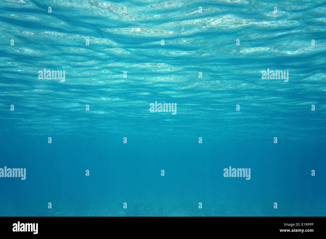 Ripples under water surface in the Caribbean sea Stock Photo