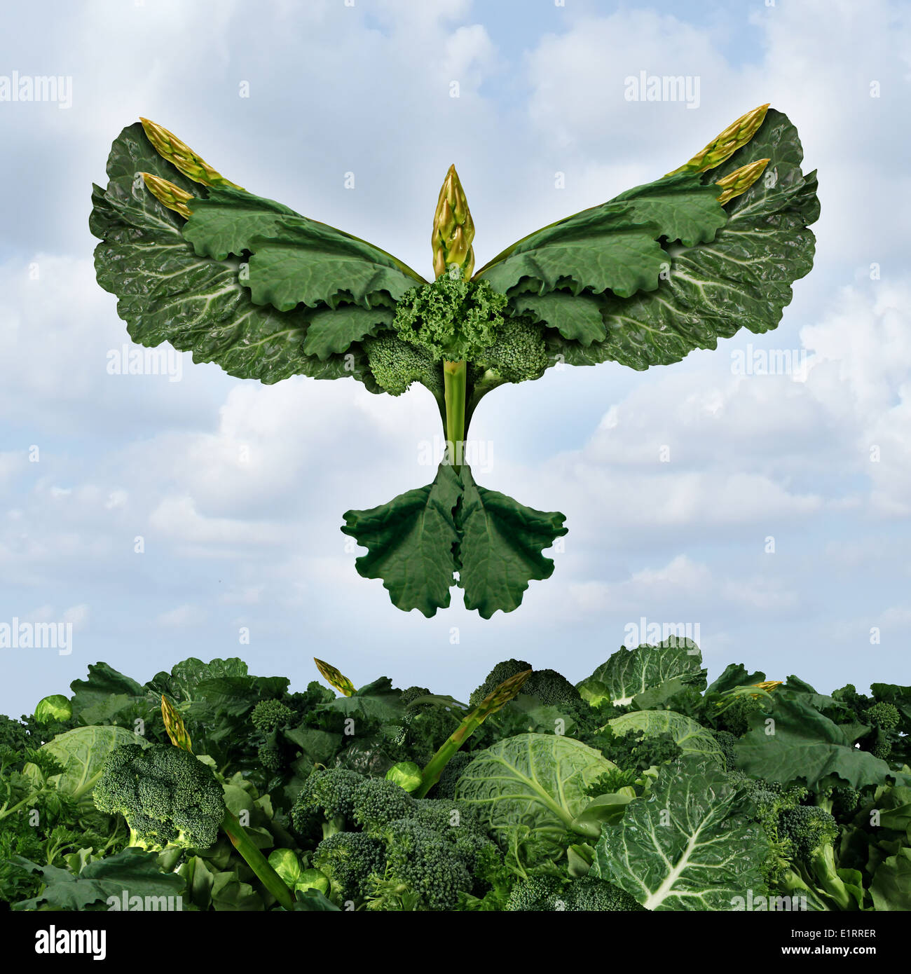 Health food freedom diet concept with green vegetables and dark leafy food shaped as a bird flying upward as a healthy eating Stock Photo