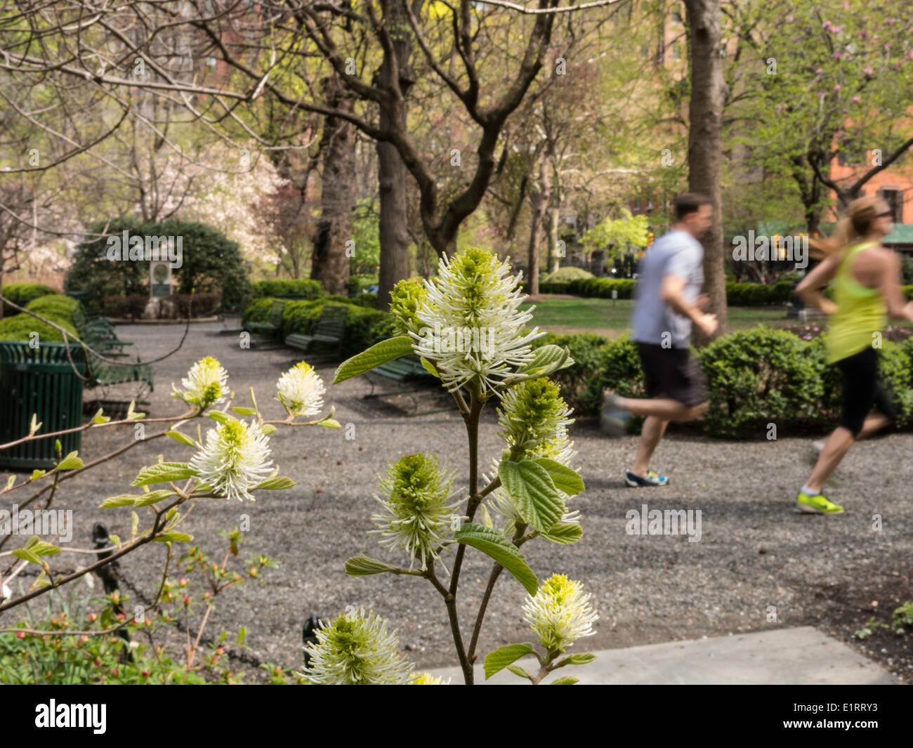 Couple Jogging , Gramercy Park, NYC, USA Stock Photo