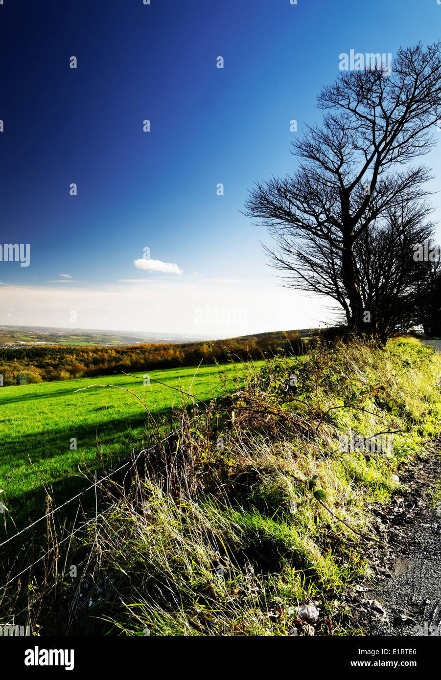 walk in the rural countryside England Stock Photo - Alamy