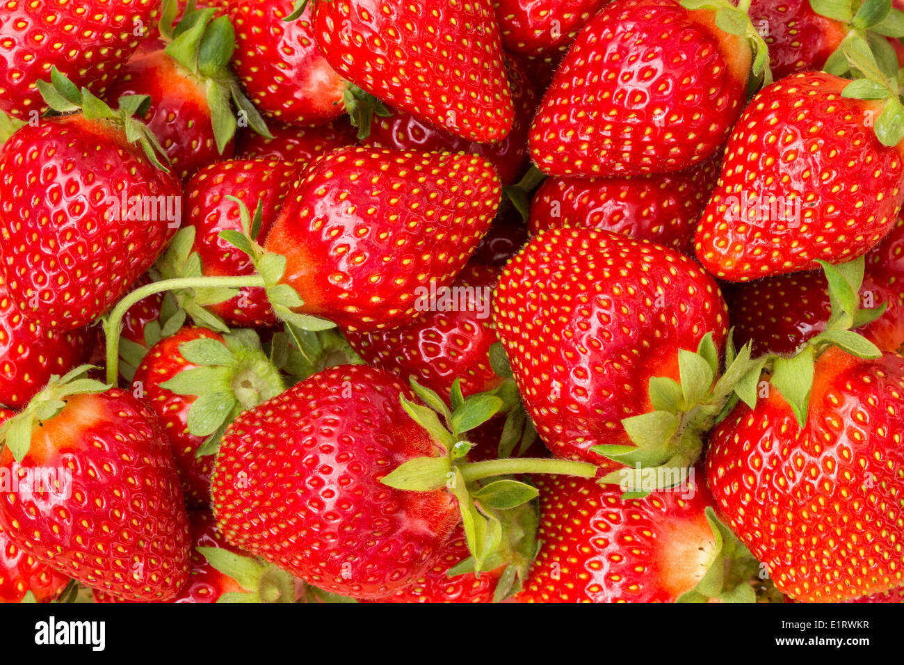 Fresh ripe perfect strawberry - Food frame background Stock Photo - Alamy