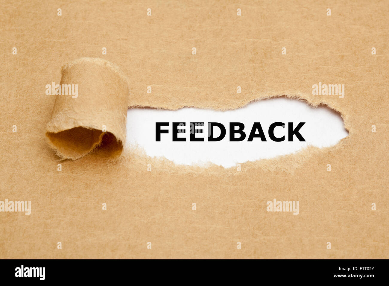 The word Feedback appearing behind torn brown paper. Stock Photo