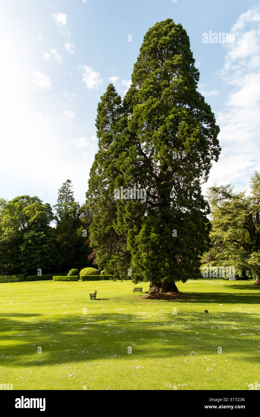 Manor house hotel castle combe hi-res stock photography and images - Alamy