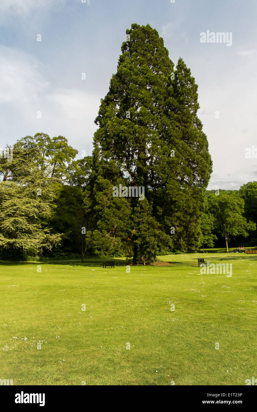 Manor house hotel castle combe hi-res stock photography and images - Alamy