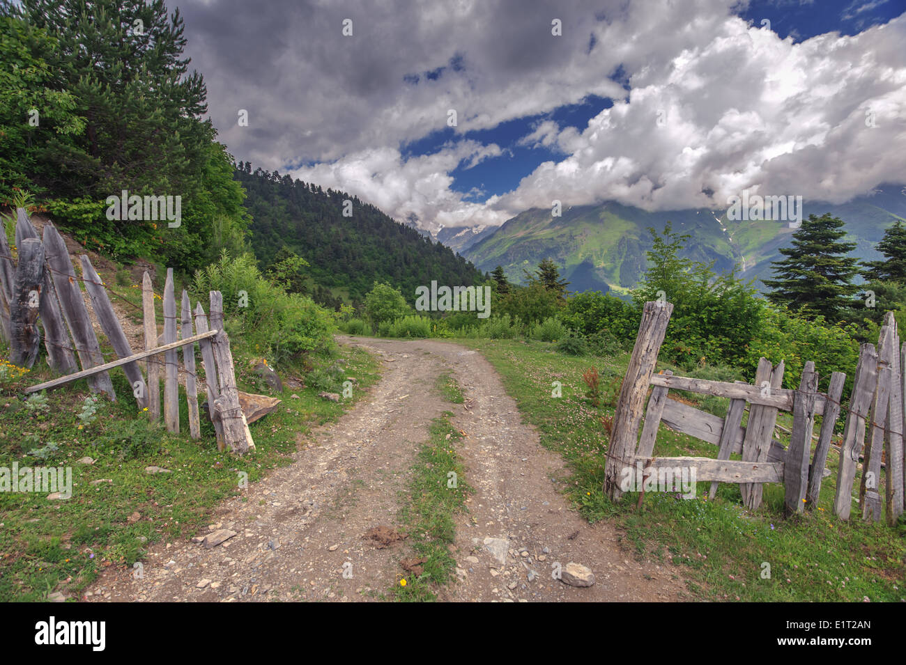 Road beautiful green mountain hi-res stock photography and images - Alamy