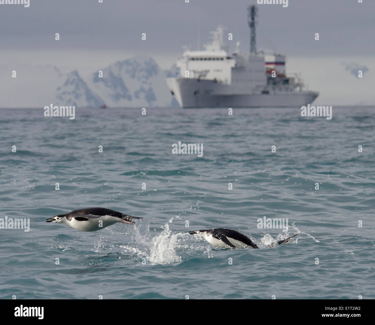 Ship half moon hi-res stock photography and images - Alamy