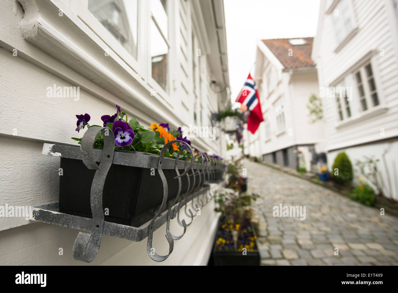 White wooden streets and houses of Old Stavanger or Gamle Stavanger in Norway Stock Photo