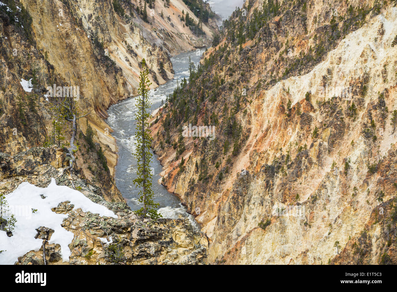 The Yellowstone River at the Grand Canyon of the Yellowstone National Park, Wyoming, USA. Stock Photo