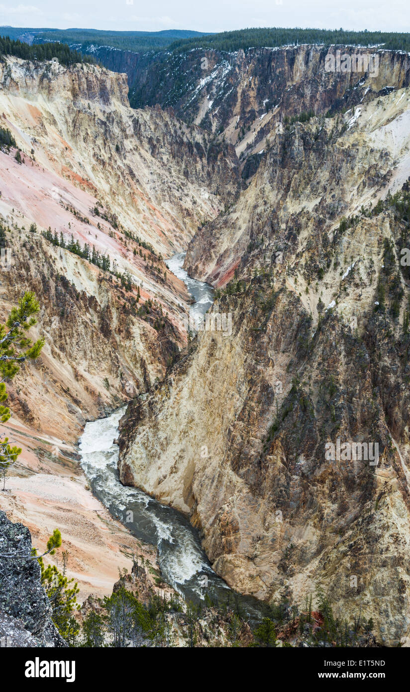 The Yellowstone River cut through the Grand Canyon of the Yellowstone National Park, Wyoming, USA. Stock Photo