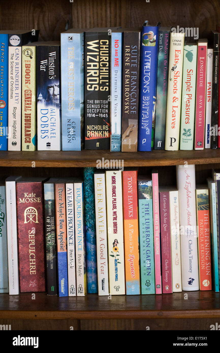 Books on a bookshelf. Stock Photo