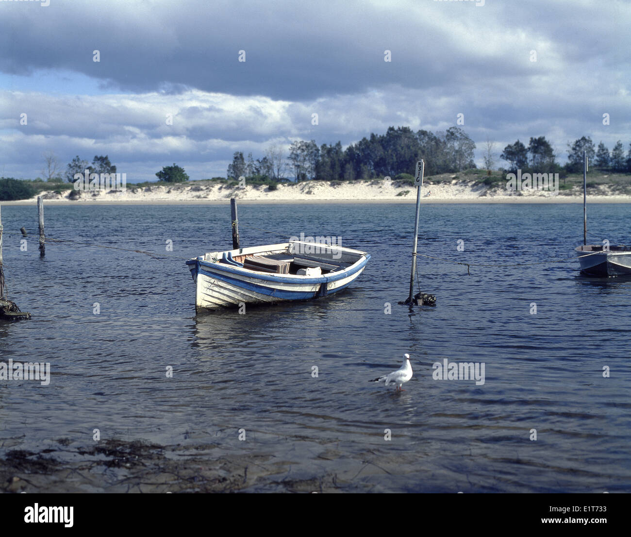 Moored dinghy on edge of water Stock Photo - Alamy