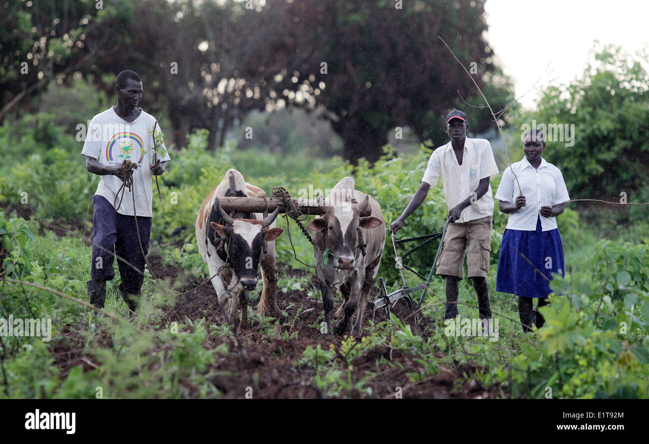 School children learn skills by farming and working at their NGO funded school in the Nakasongola region of Uganda Stock Photo