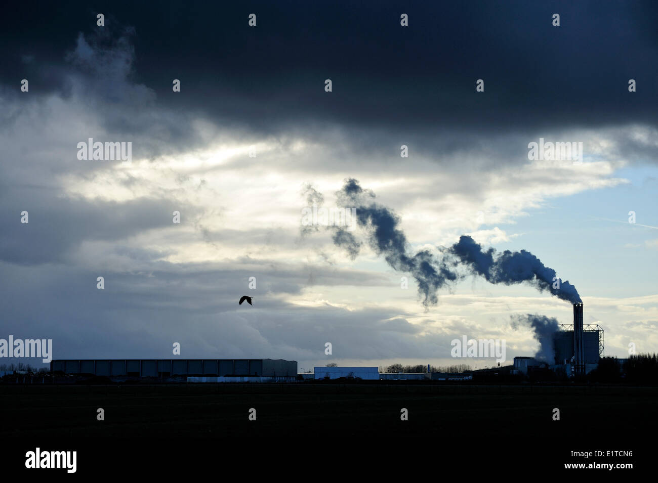 Smoking chimney against the light with a raincloud Stock Photo