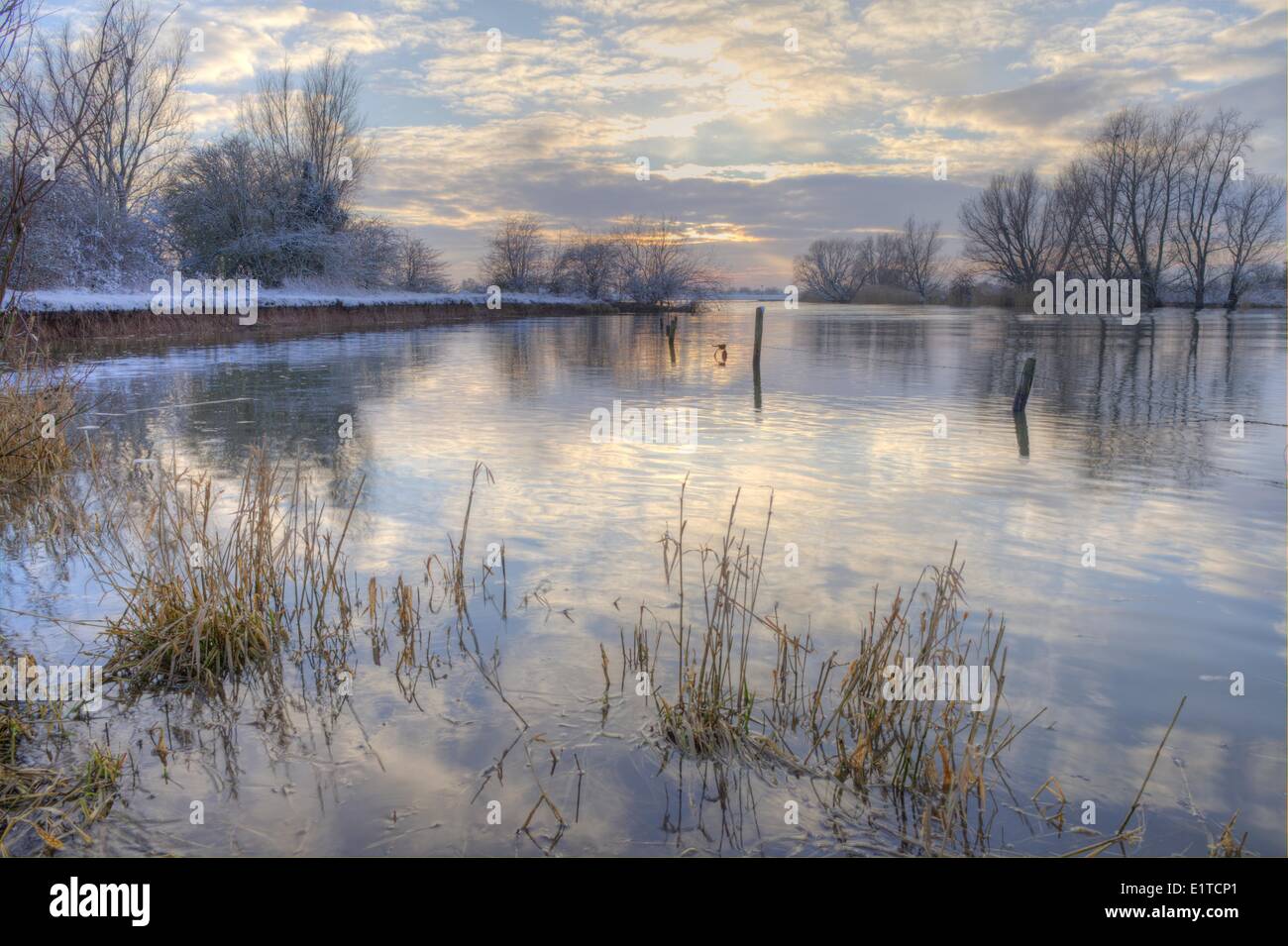 Winter view on river island De Bol which small island in river Lek It part Natura 2000 site Uiterwaarden Lek It situated in Stock Photo