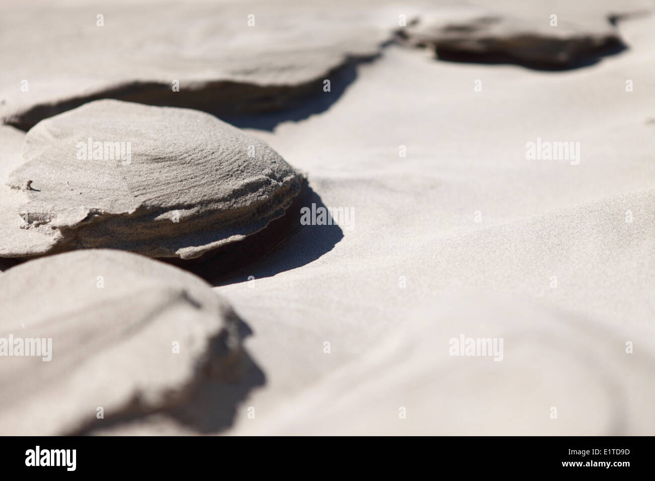 By weather and wind, sand structures appear on the beach of Hollum. greytones accentuates the pattern. Stock Photo