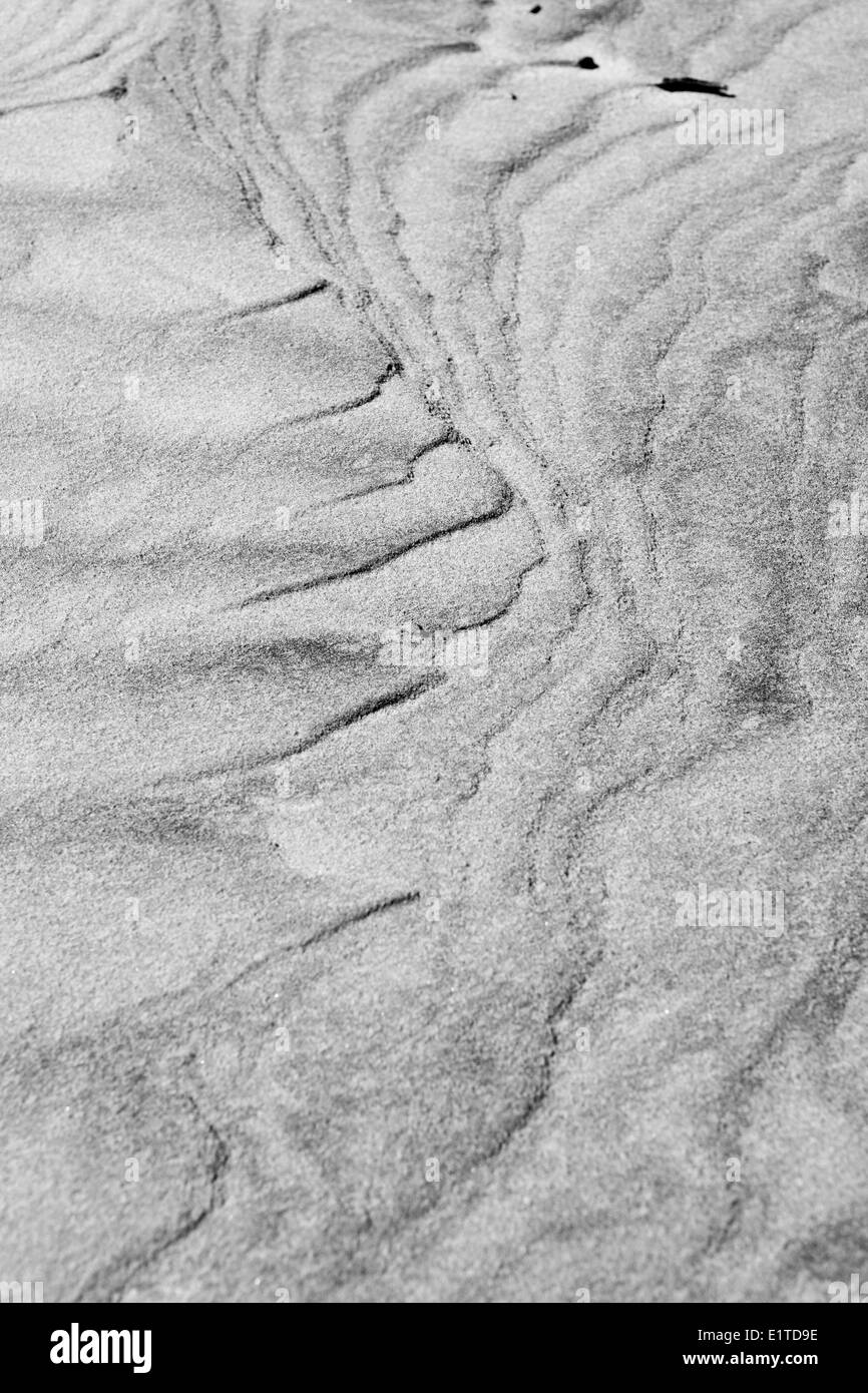 By weather and wind, sand structures appear on the beach of Hollum. Greytones accentuates the pattern. Stock Photo