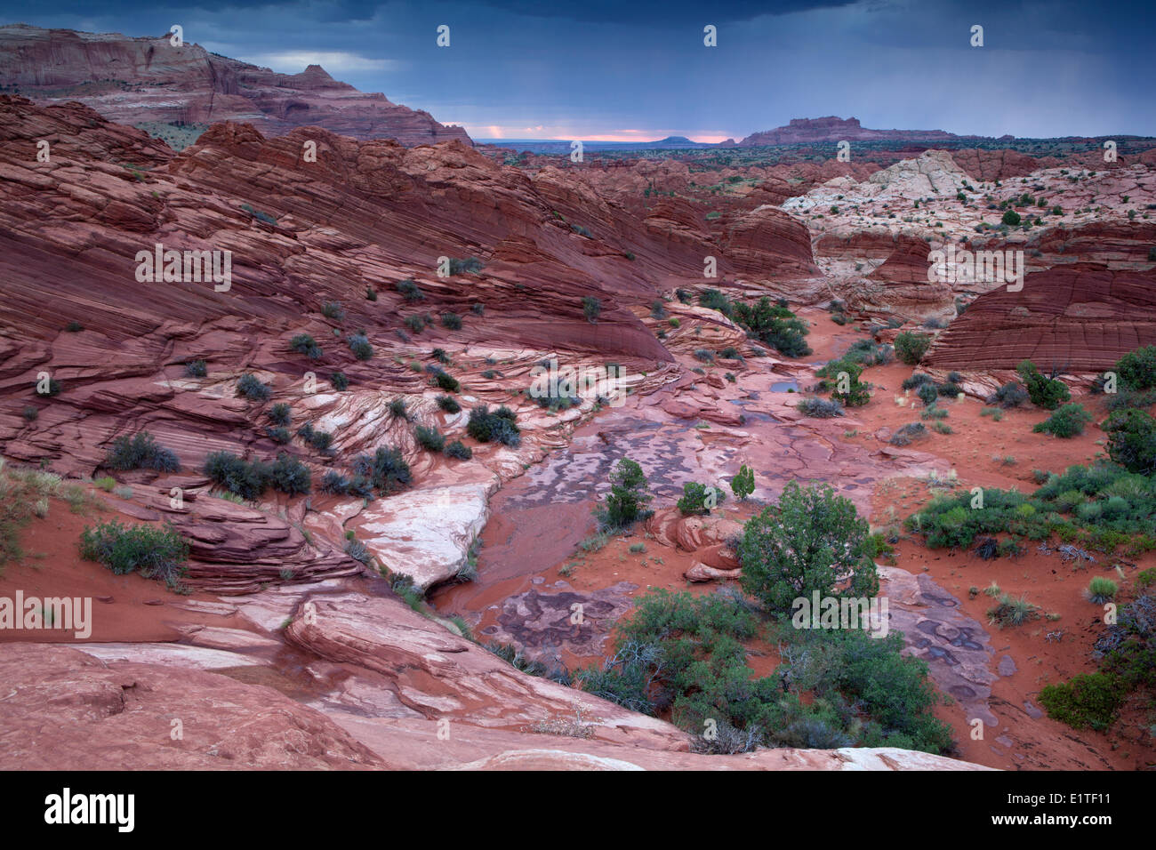 Dawn in North Coyote Buttes as an overnight thunder storm retreats Paria Canyon-Vermilion Cliffs Wilderness Area Utah United Stock Photo