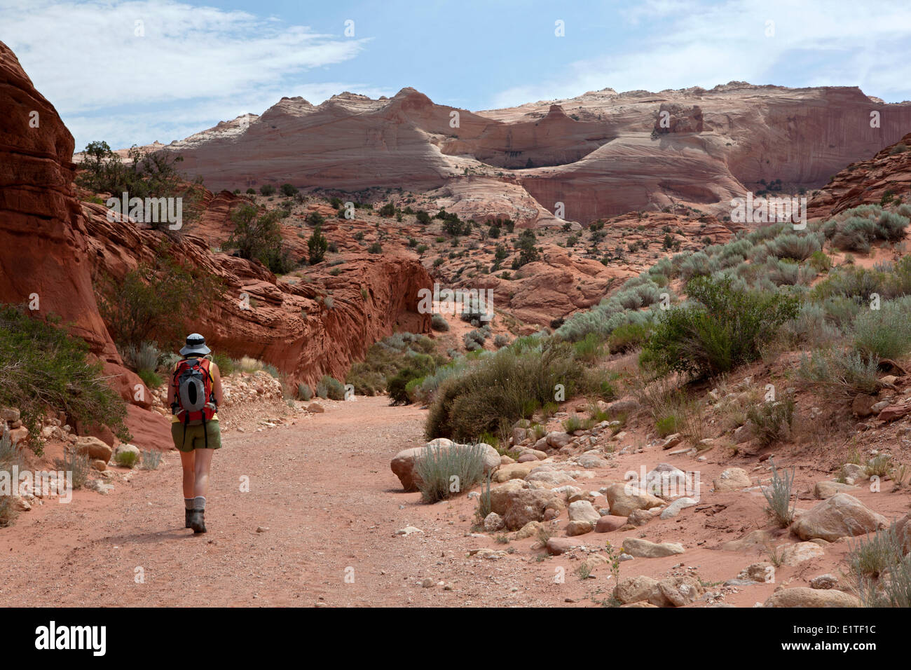 Hiker on the Wire Pass Trail on the way to Buckskin Gulch Paria Canyon-Vermilion Cliffs Wilderness Area Utah United States Stock Photo