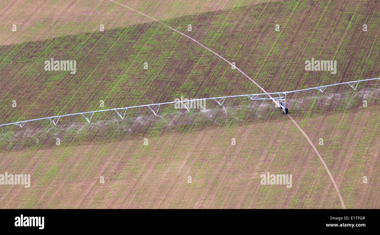 Irrigation of farmers field Stock Photo