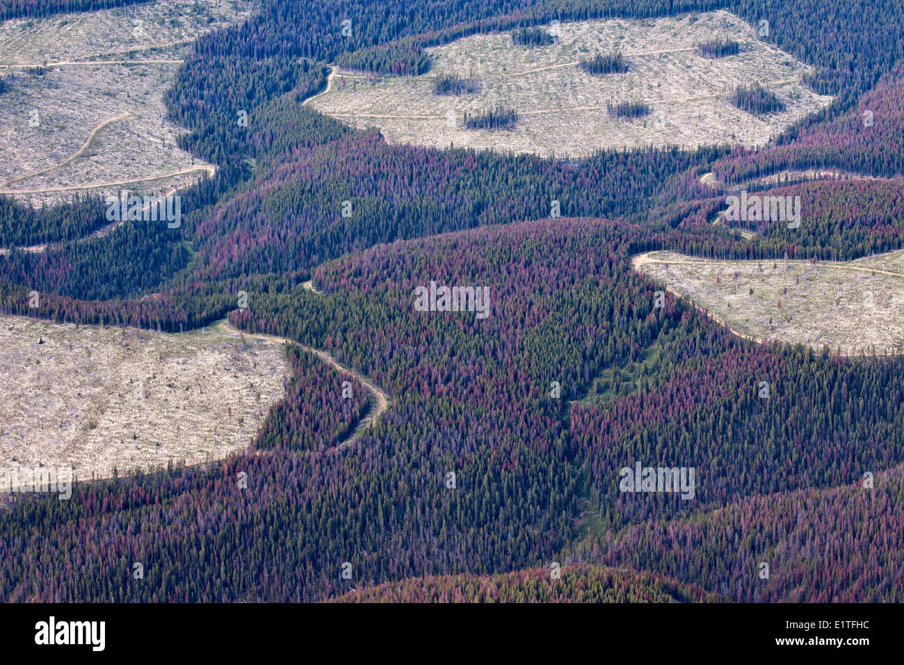 Aerial photography over the South Cariboo Chilcotin region of British ...