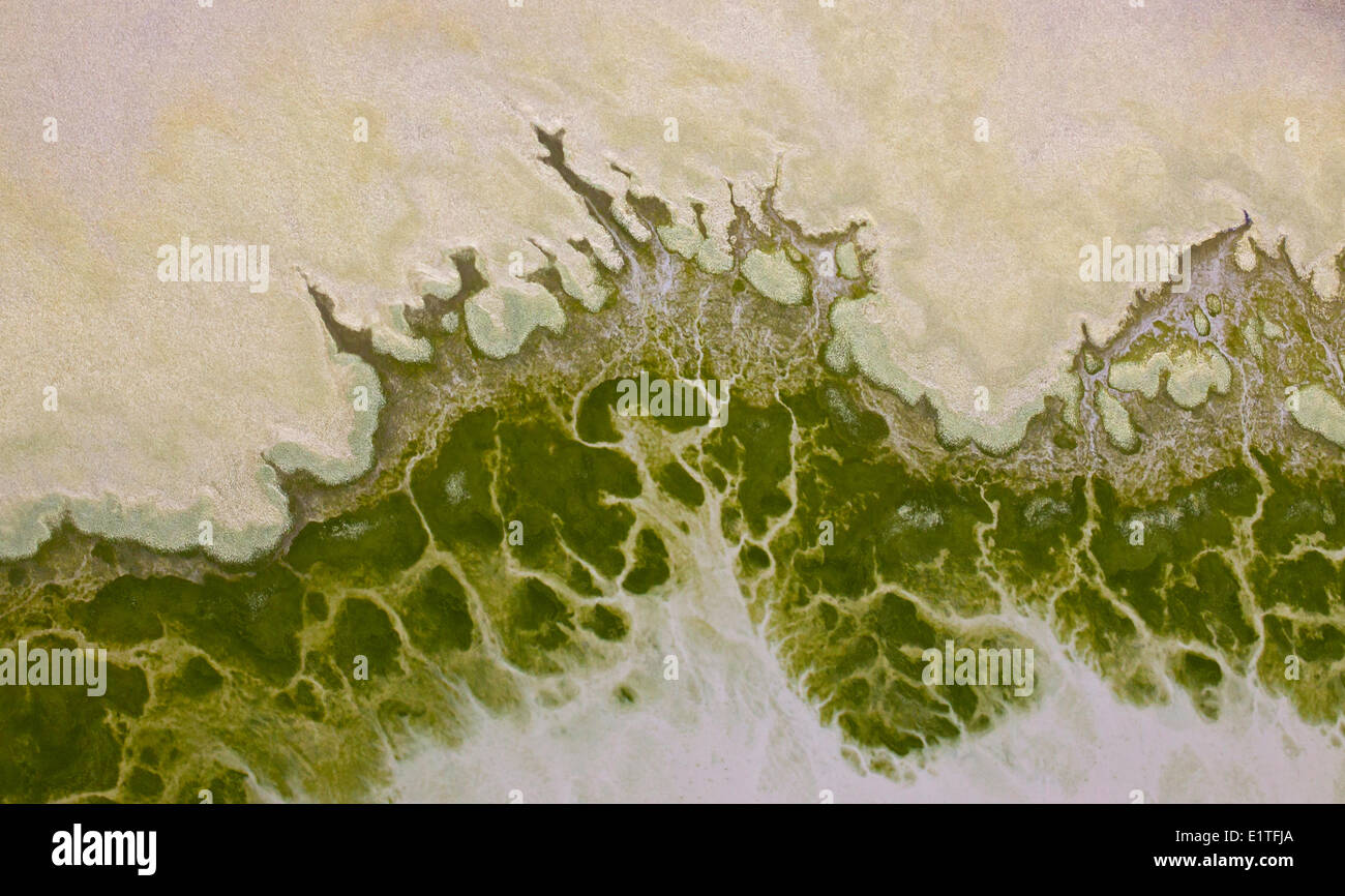 Aerial photography over the south cariboo region of British Columbia ...