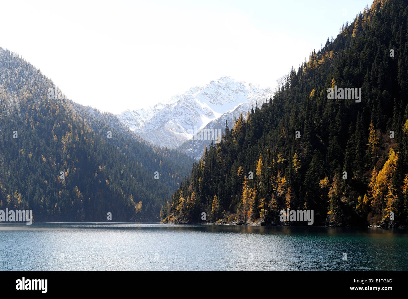 Autumn at Long Lake in JiuZhaiGou National Park in Sichuan Province, P.R. China. Stock Photo