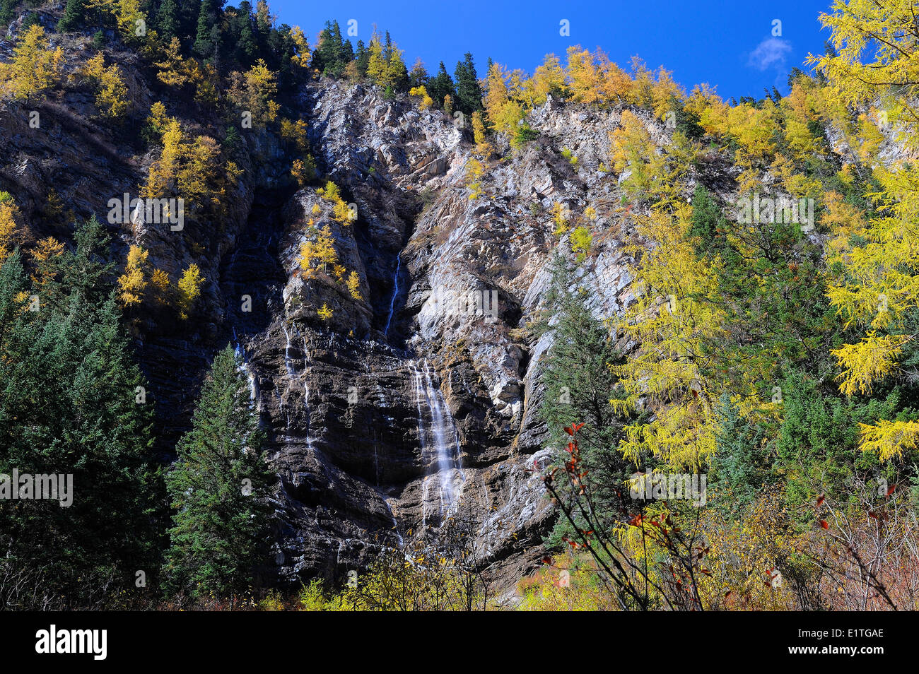 View of a waterfall from a walking path in autumn in JiuZhaiGou National Park in Sichuan Province, P.R. China. Stock Photo