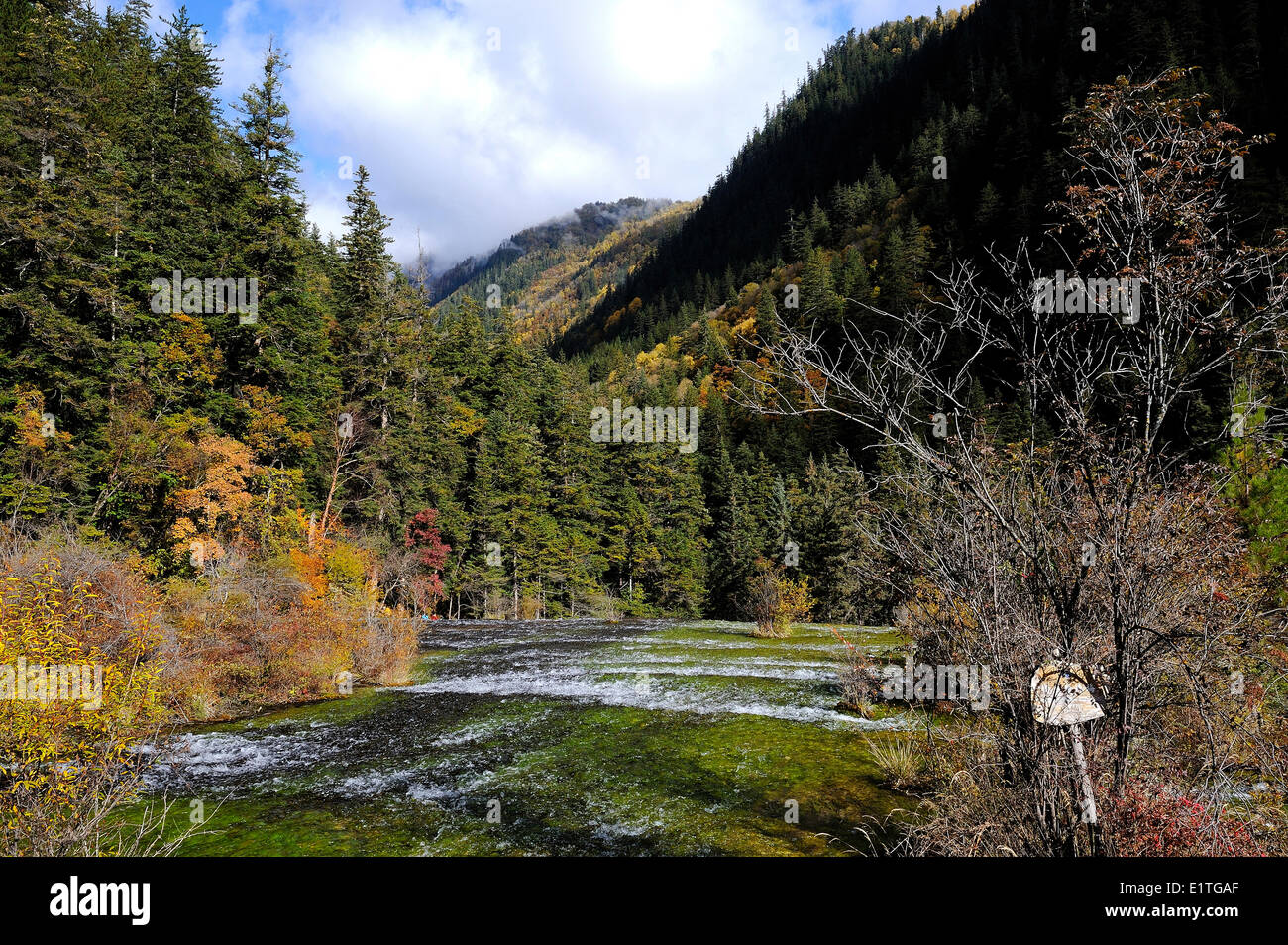 View of a freshwater stream from the walking path in autumn in JiuZhaiGou National Park in Sichuan Province, P.R. China. Stock Photo
