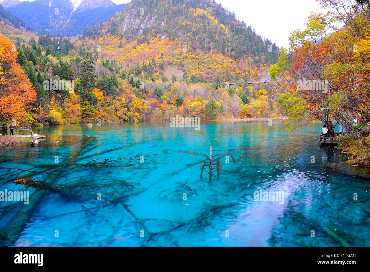 View of a clear blue freshwater lake from a walking path in autumn in JiuZhaiGou National Park in Sichuan Province, P.R. China. Stock Photo