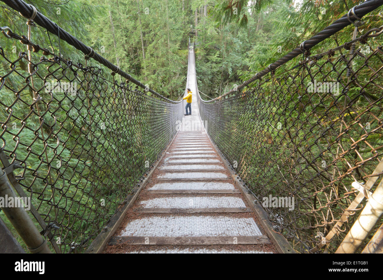 Hiker on suspension bridge at Lynn Canyon Park in North Vancouver, British Columbia, Canada. Stock Photo
