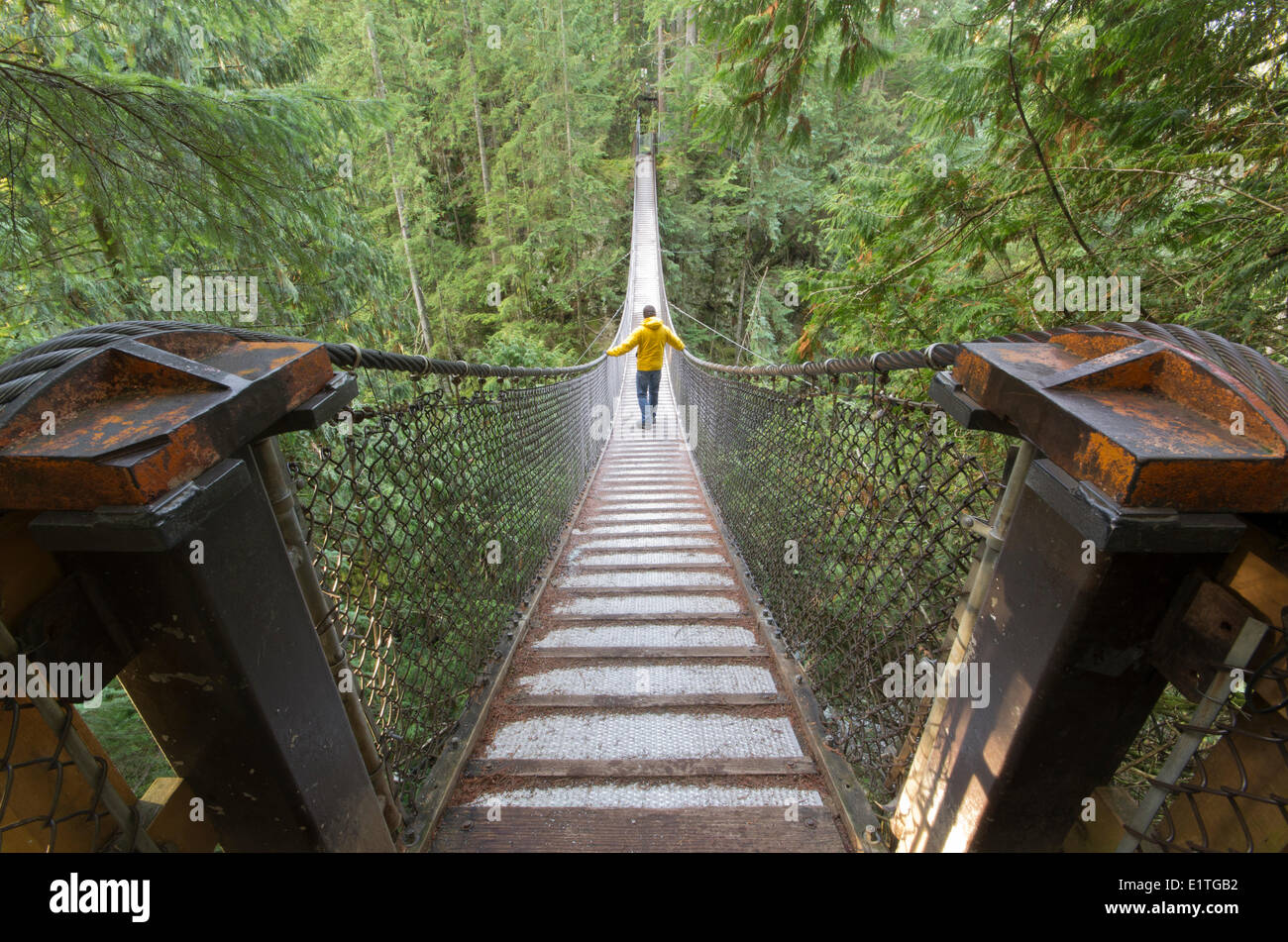 Hiker on suspension bridge at Lynn Canyon Park in North Vancouver, British Columbia, Canada. Stock Photo