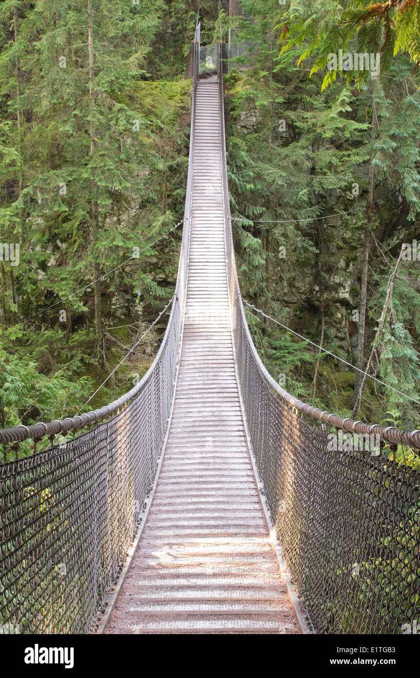 Suspension bridge at Lynn Canyon Park in North Vancouver, British